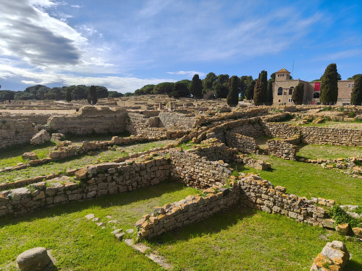 Walter ✊💨💨💨 tweet media