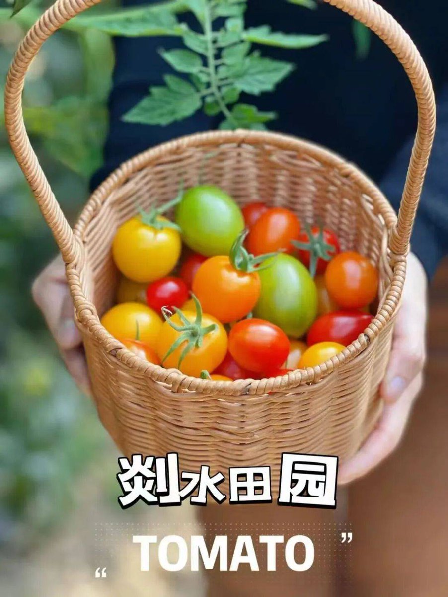 michael alonso tweet media