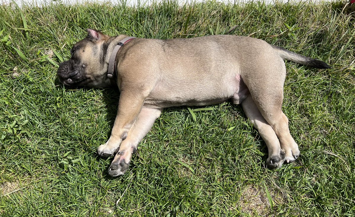 STUDIO SOKAI tweet media