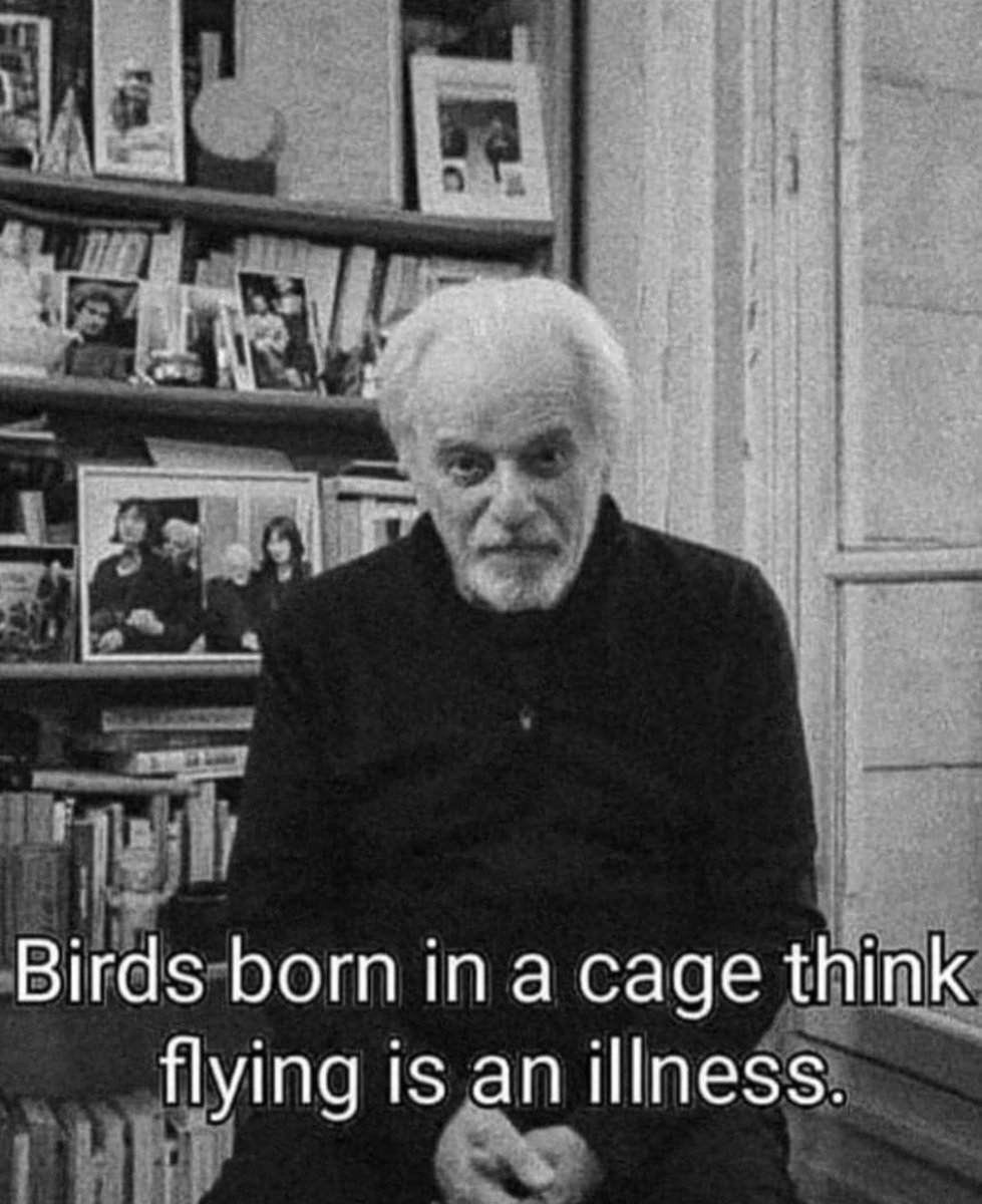 Charlie₿løcks📈🔆 tweet media