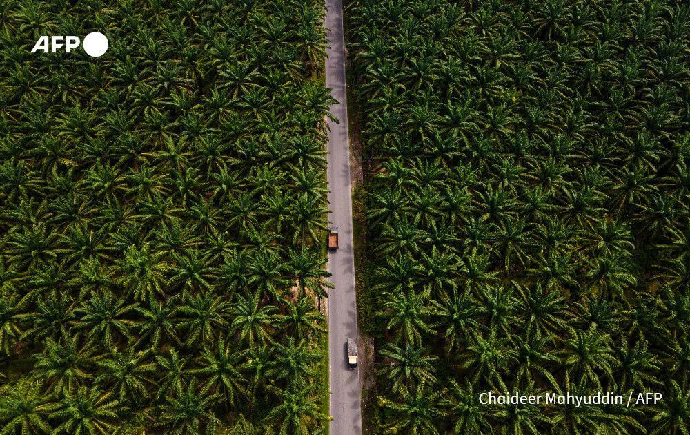 AFP News Agency tweet media