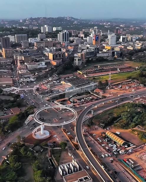 Dixon Newman Photography tweet media