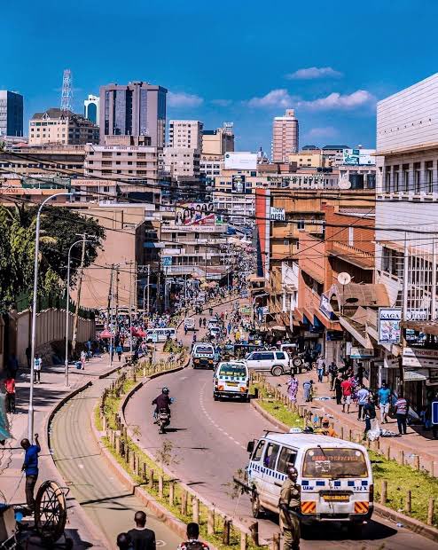 Dixon Newman Photography tweet media