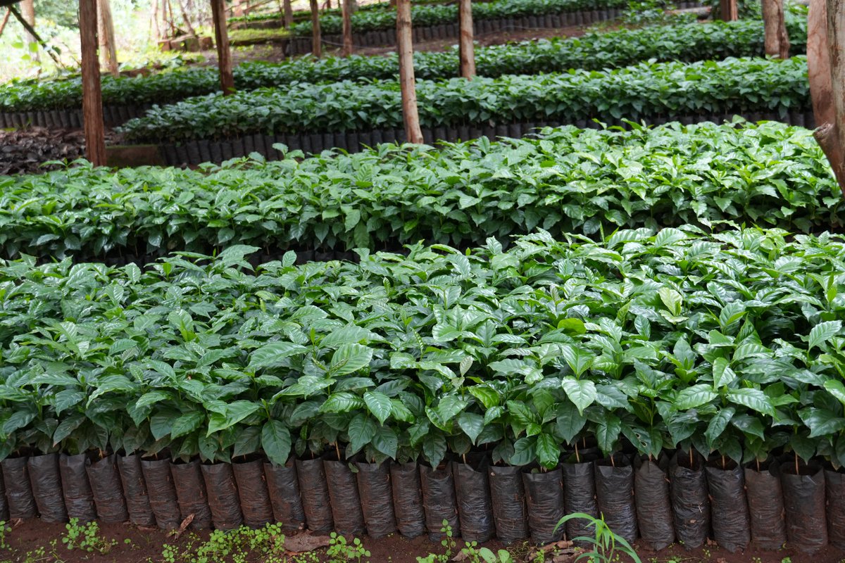 Pest Control Products Board tweet media