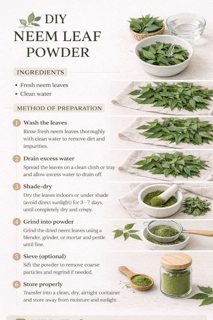 Yupiyayi12's tweet photo. DIY NEEM LEAF POWDER...... https://t.co/AMWihMVtrd