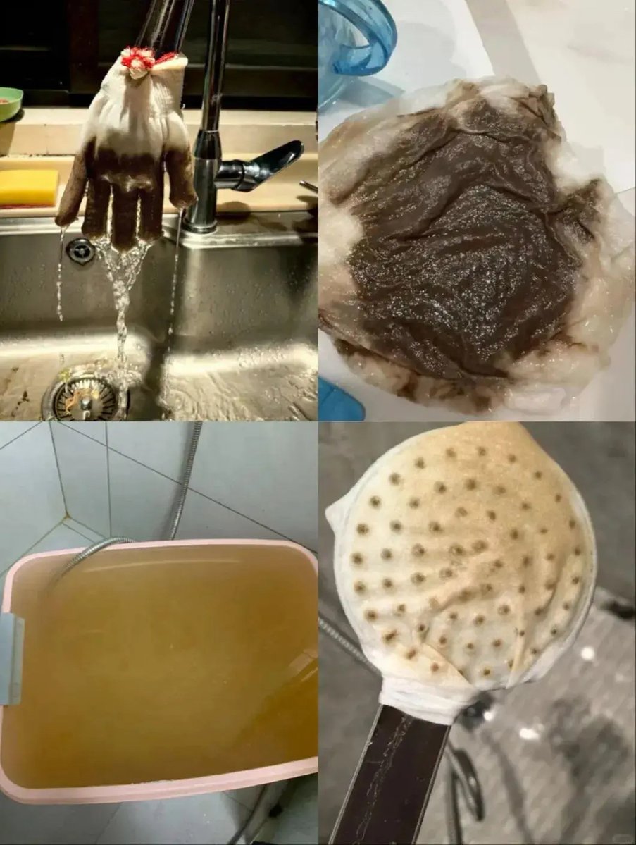 Trading Advisor. tweet media