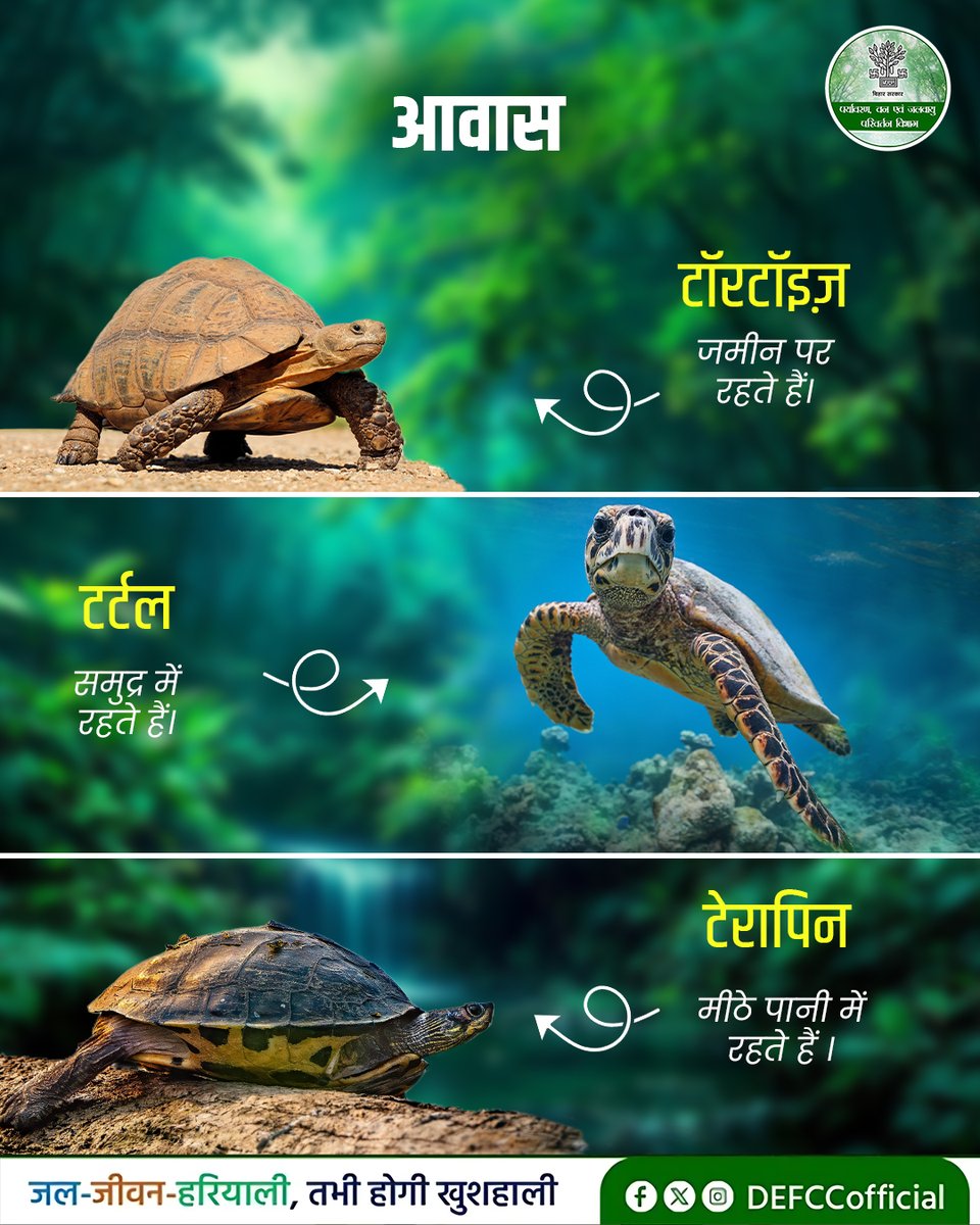 Department of Environment, Forest & Climate Change tweet media