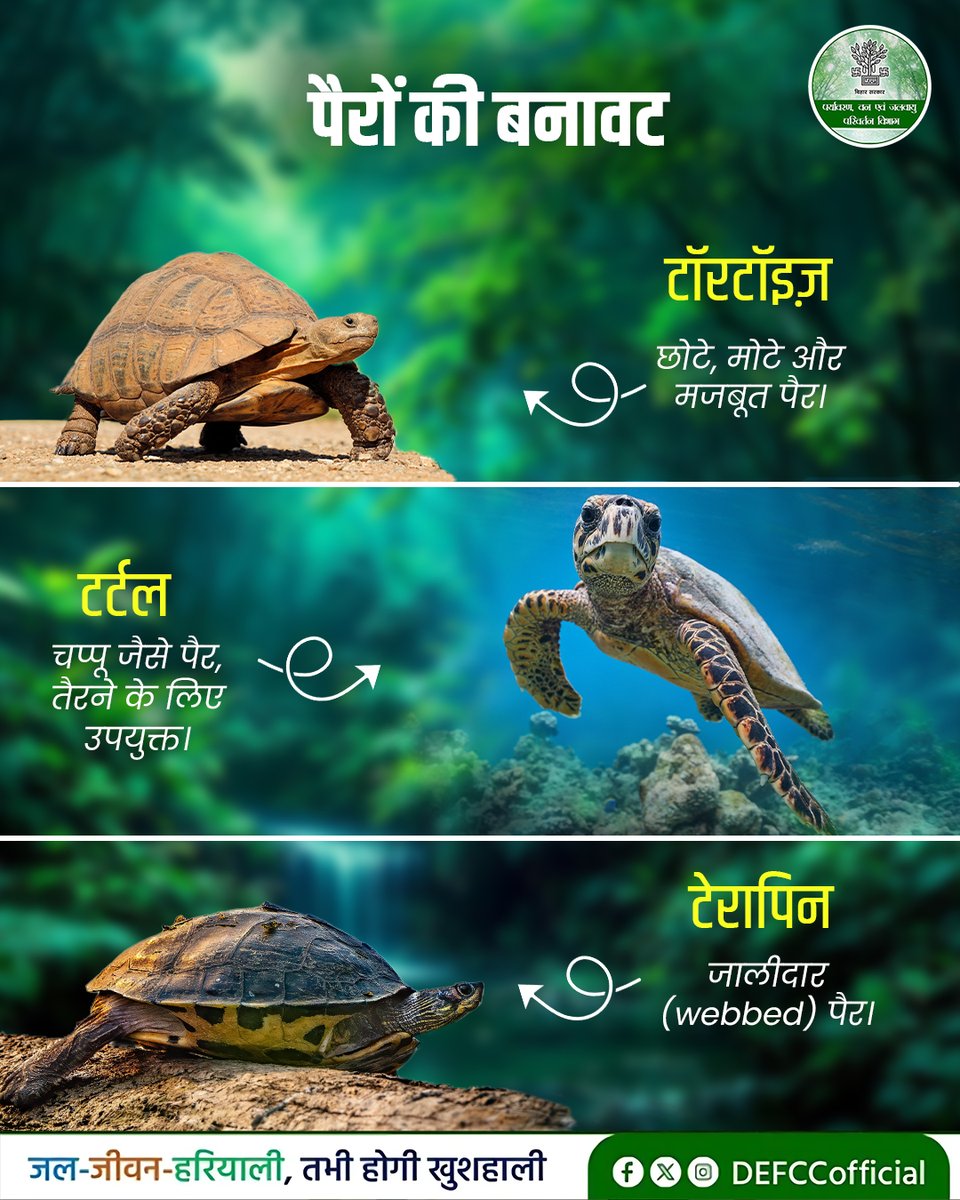 Department of Environment, Forest & Climate Change tweet media