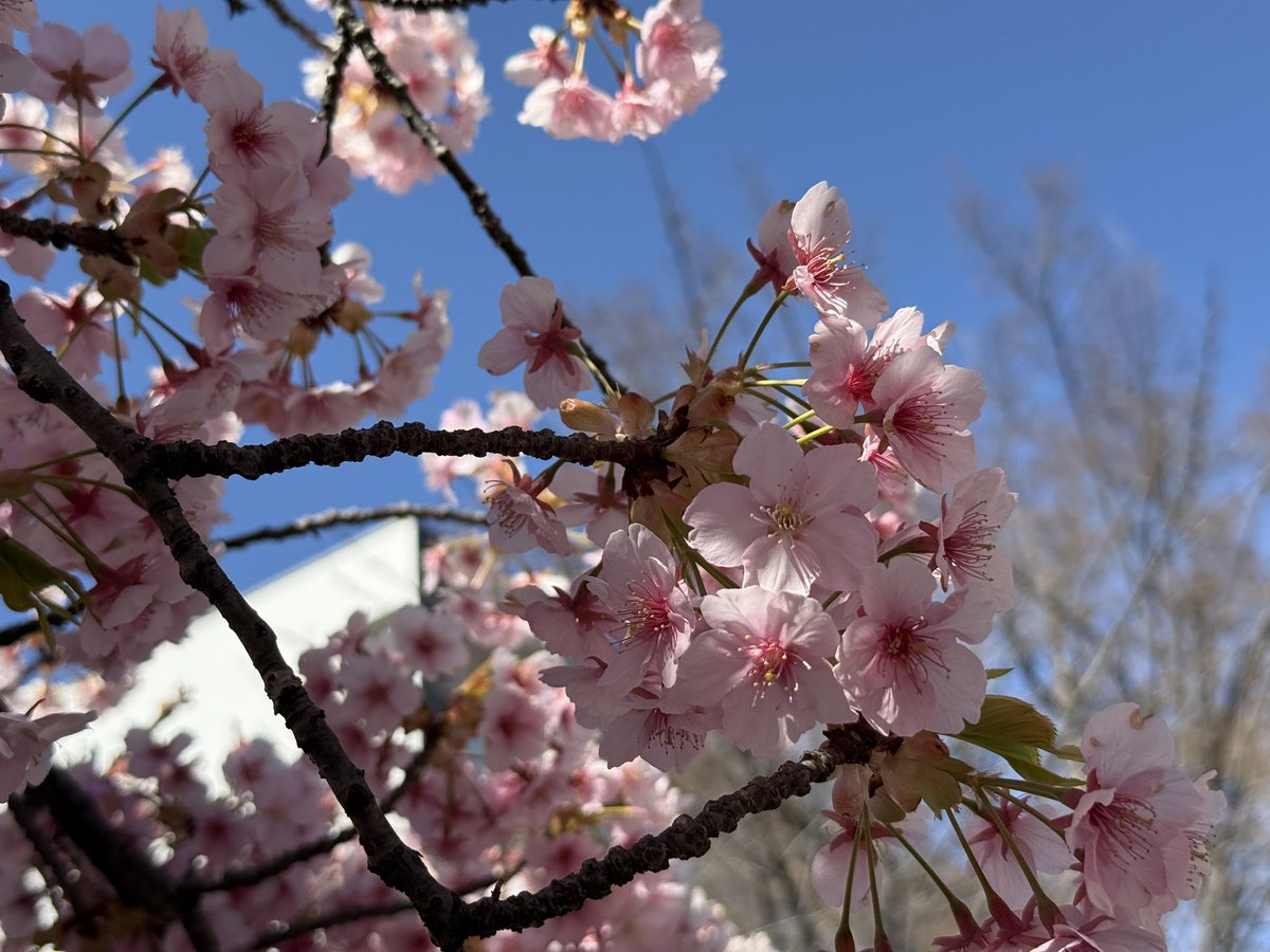 その𝕏+ tweet media