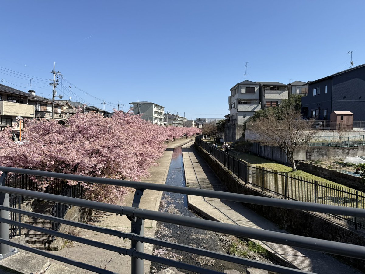 その𝕏+ tweet media