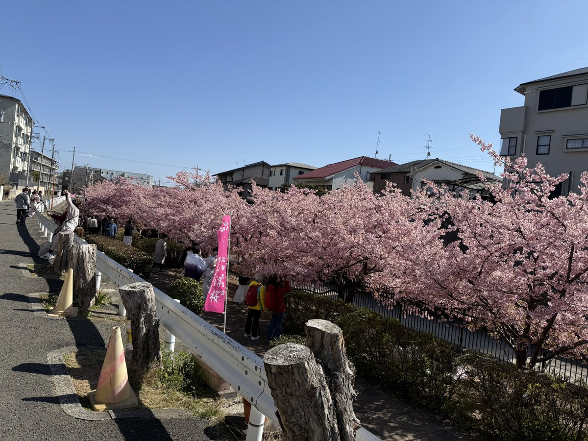 その𝕏+ tweet media