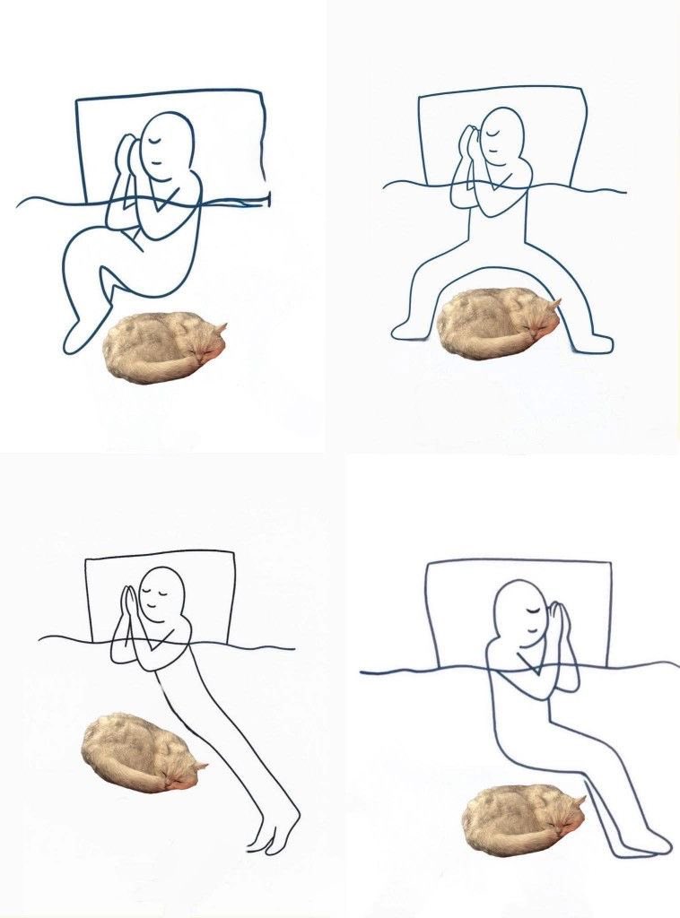 femmenotes tweet media