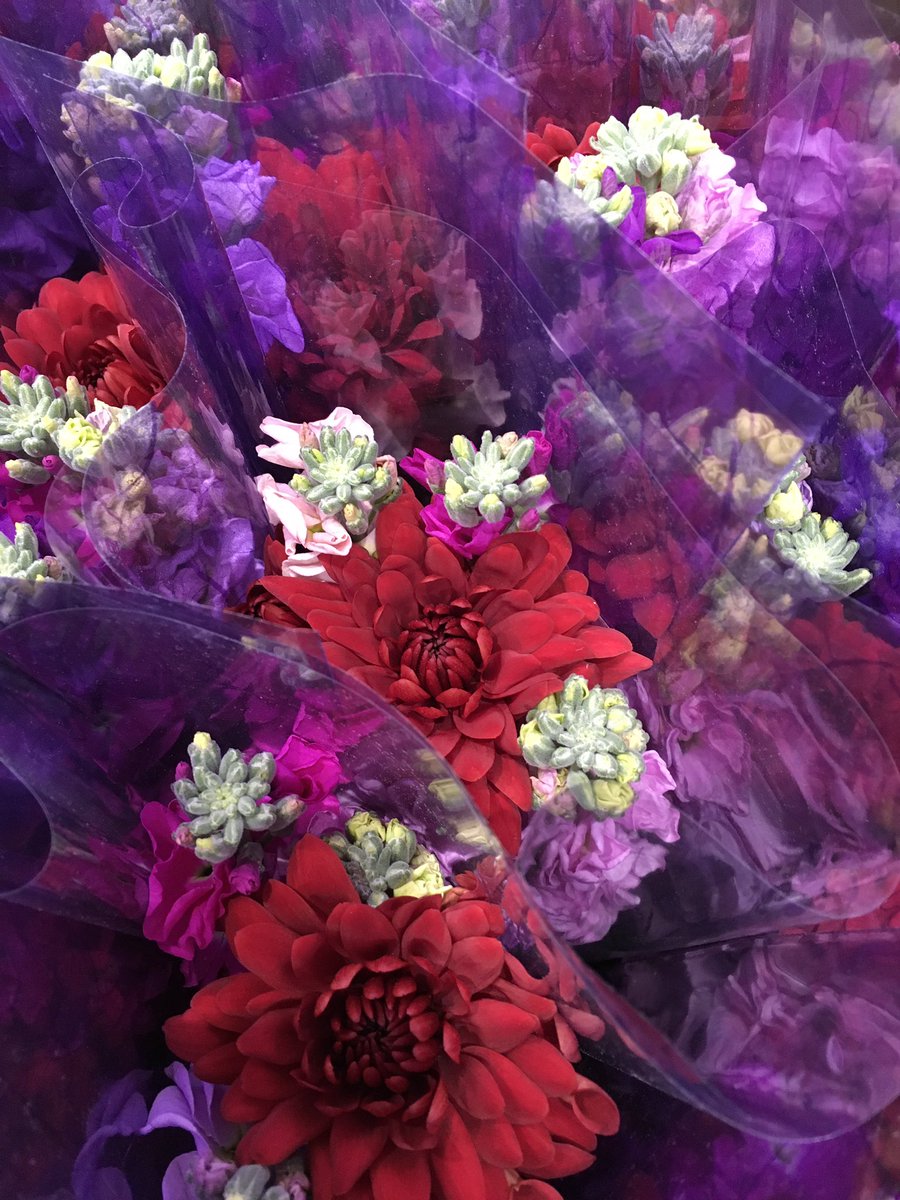 あ・ら・伊達な道の駅【公式】 tweet media