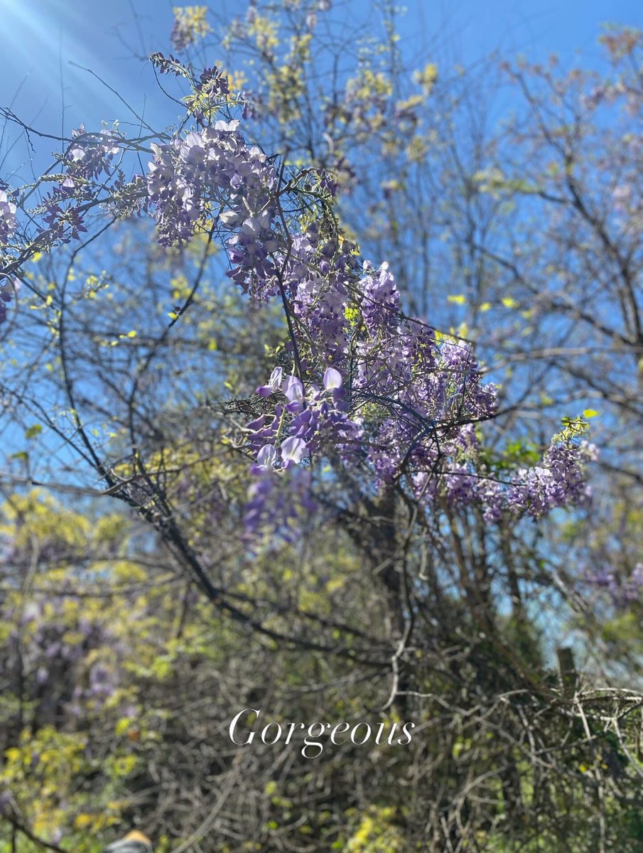 AngEngland tweet media