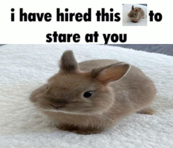 wiindrises tweet picture
