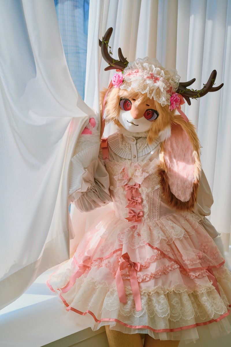 로즈빗🌹🐇 🔜 FurstClass tweet media