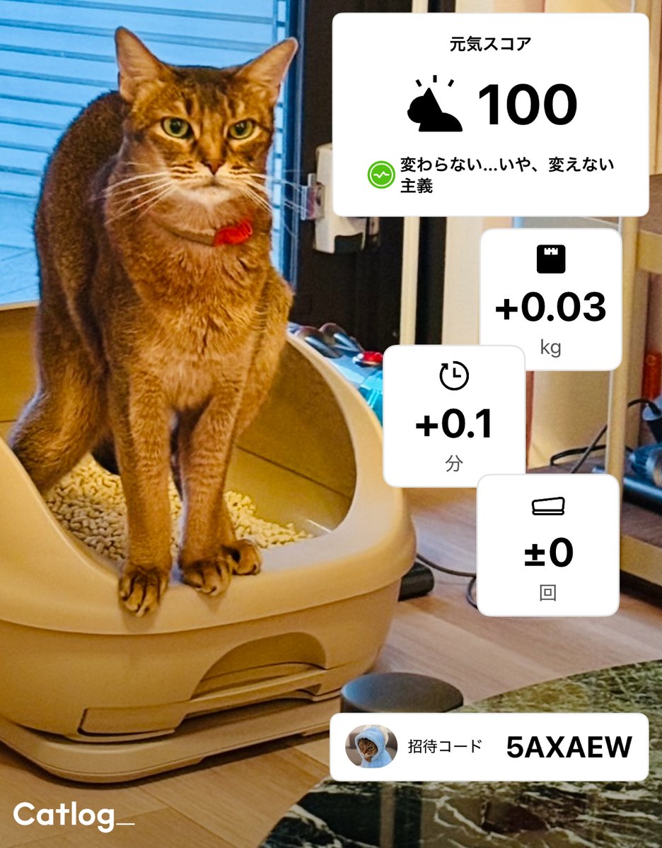 Catlog（キャトログ） tweet media