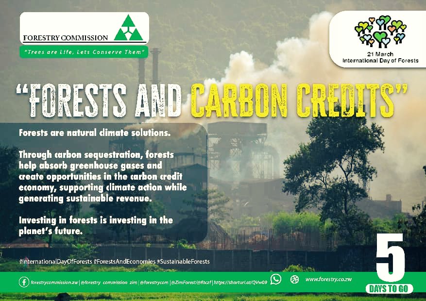 Forestry Commission Zimbabwe tweet media
