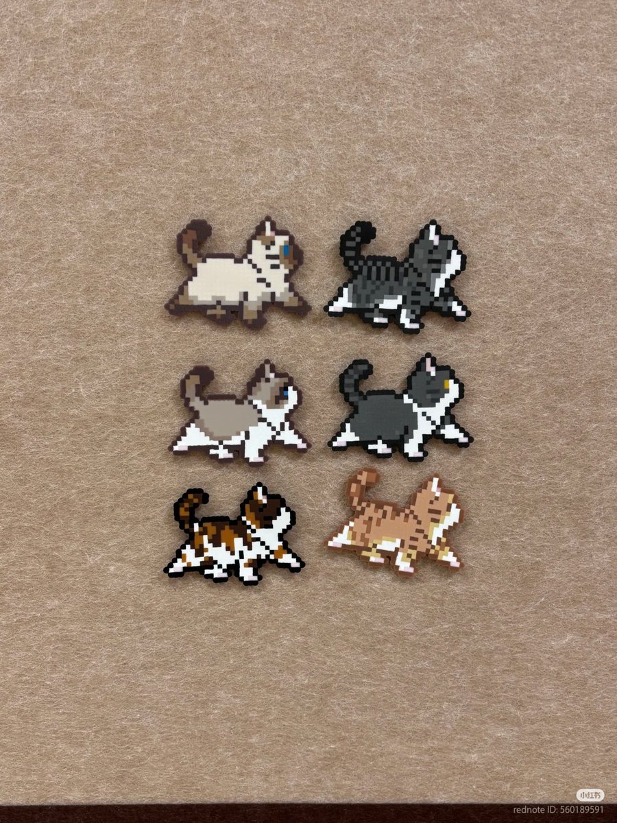 nocontextscats's tweet photo. cats https://t.co/zTyh8GgSGy