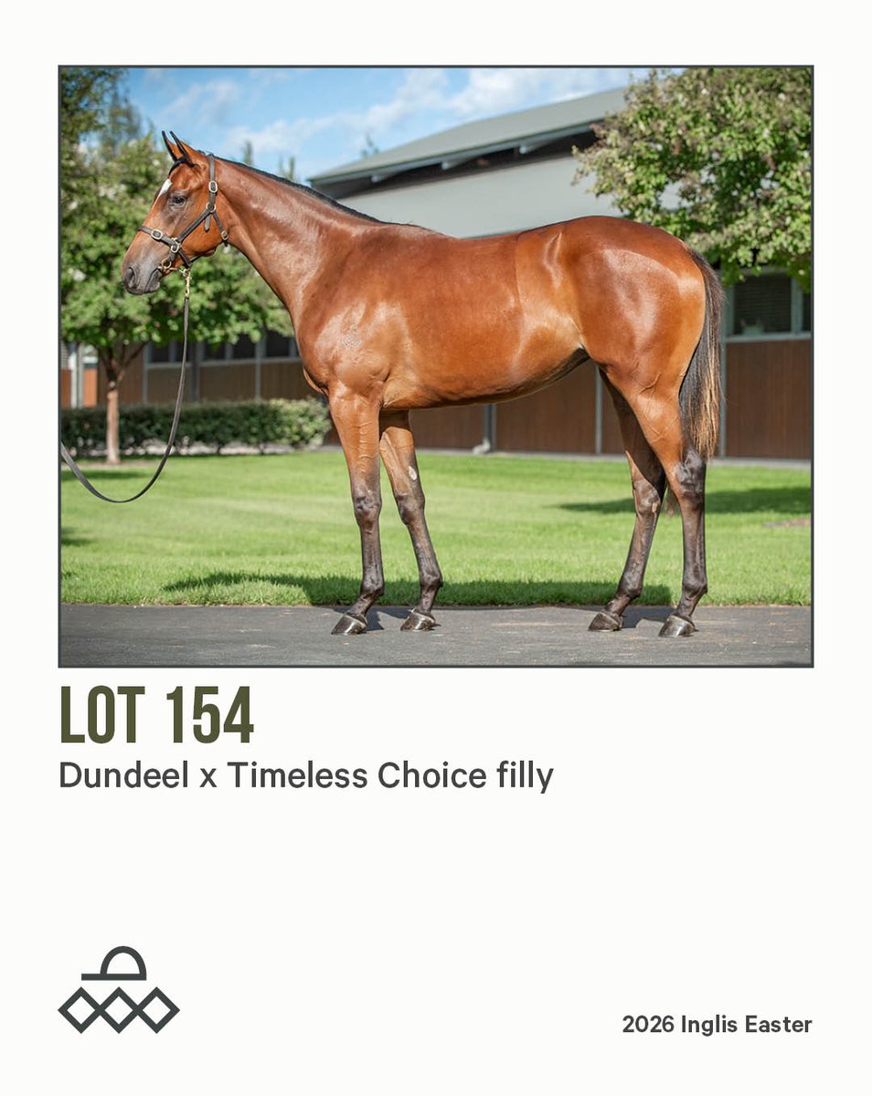 Arrowfield Stud tweet media