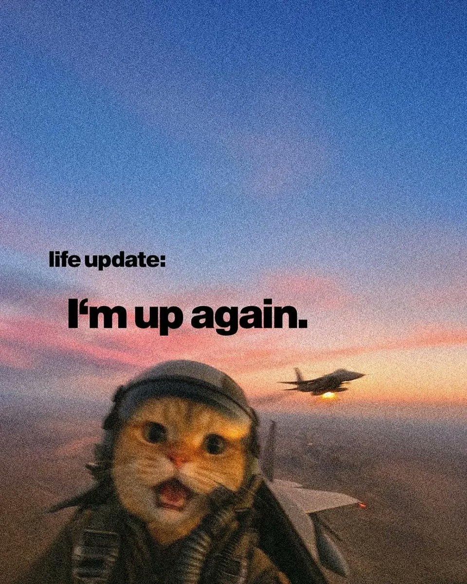 CreatorX tweet media