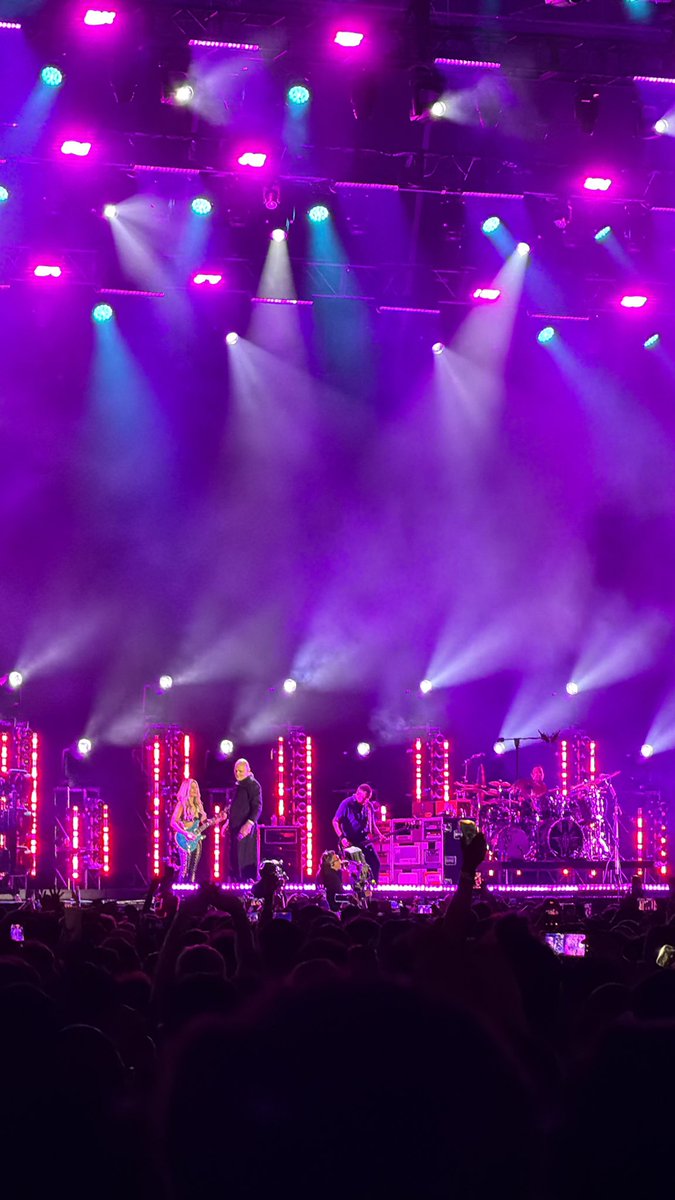 El Chihuahipster tweet media