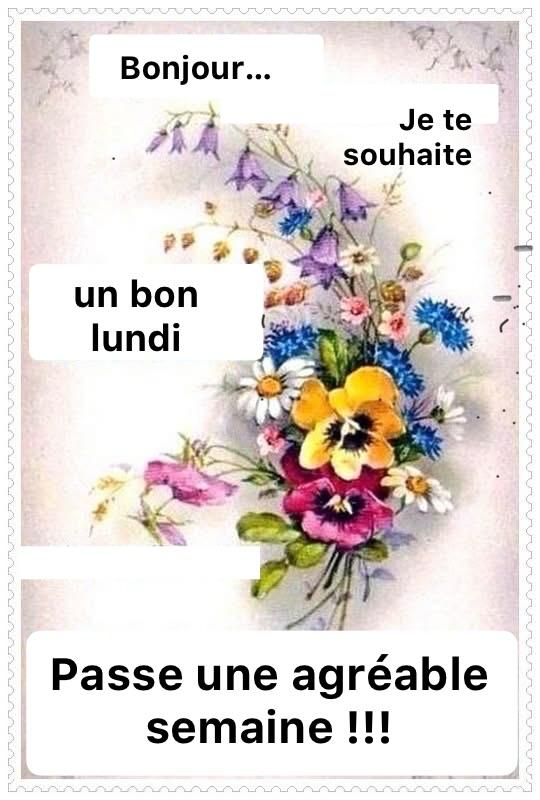 maurice schmitt tweet media