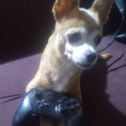 Sebacena tweet media