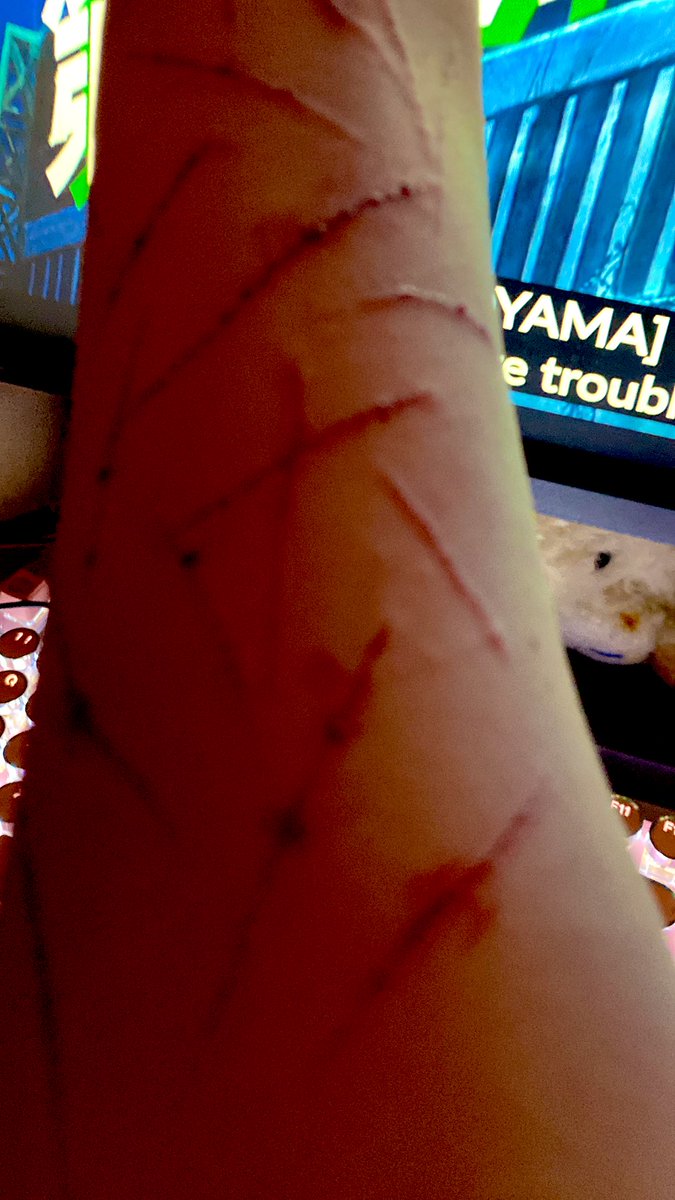 *;- doll -;* tweet media