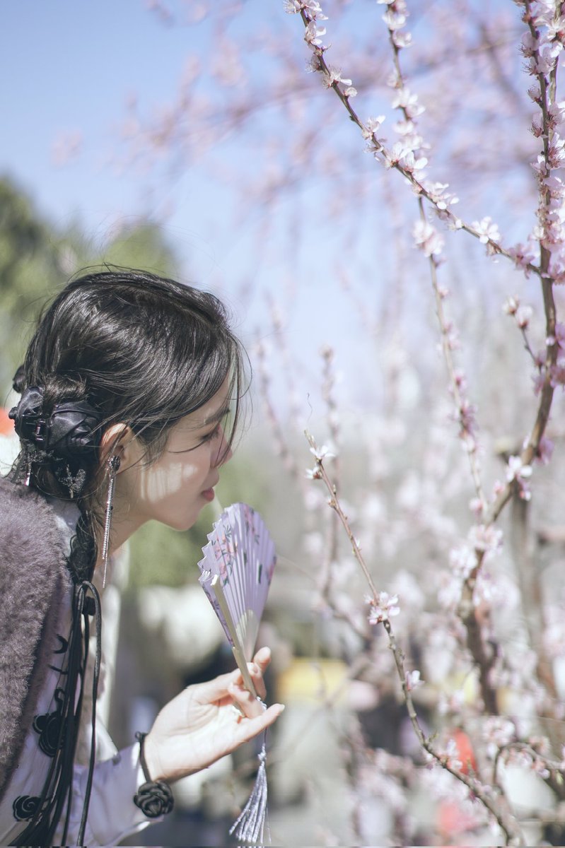 🍥酸奶大福🍥 tweet media