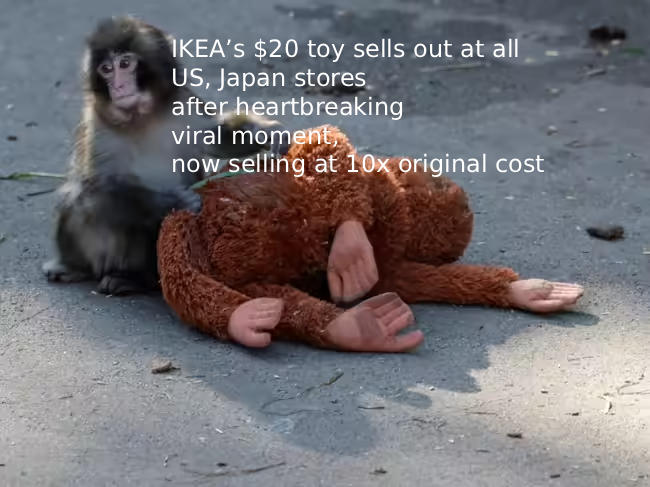 Max Shashkov tweet media