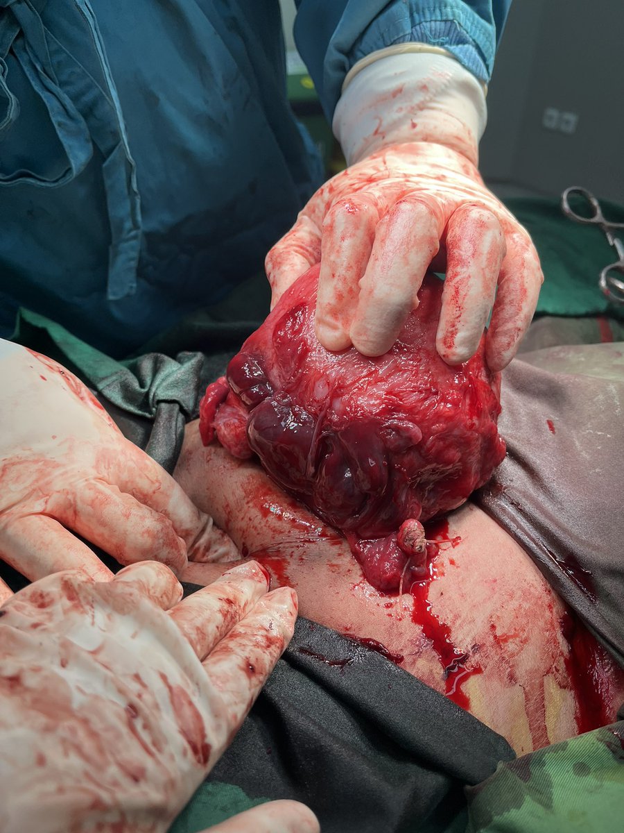 ♡ʕ •ᴥ•ʔ♡ tweet media