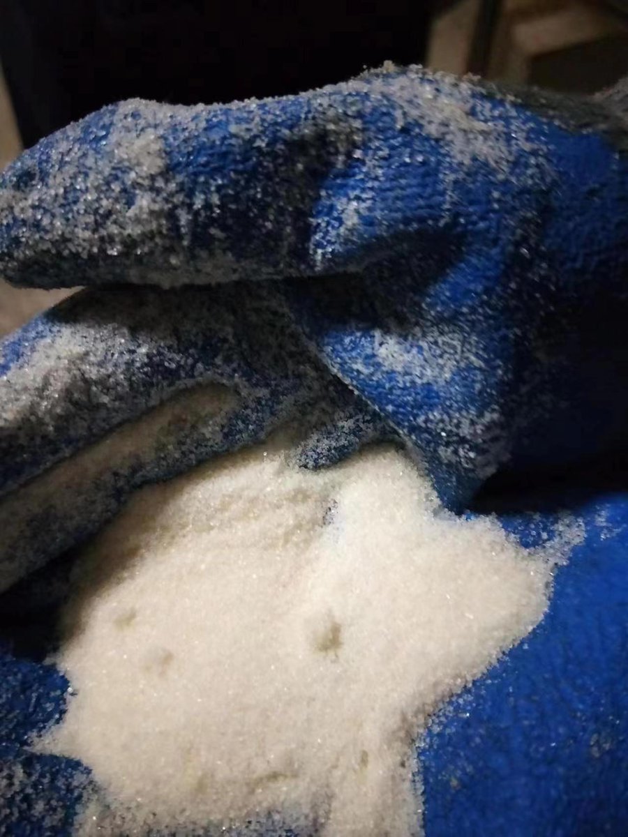 John Echel tweet media