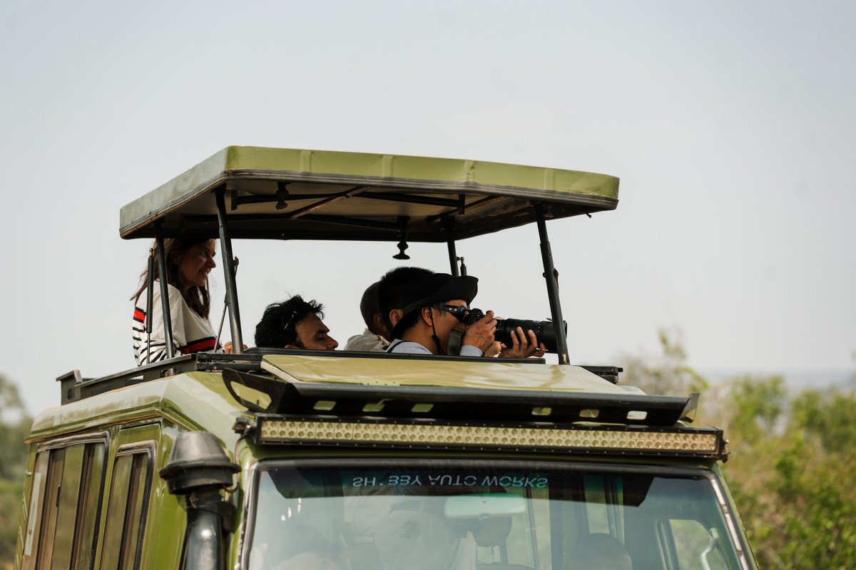 Mist Rwanda Safaris tweet media