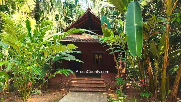 Areca County tweet media