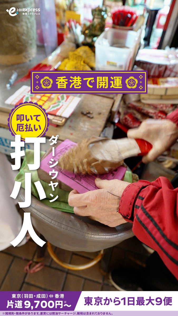 HK Express Japan 香港エクスプレス tweet media