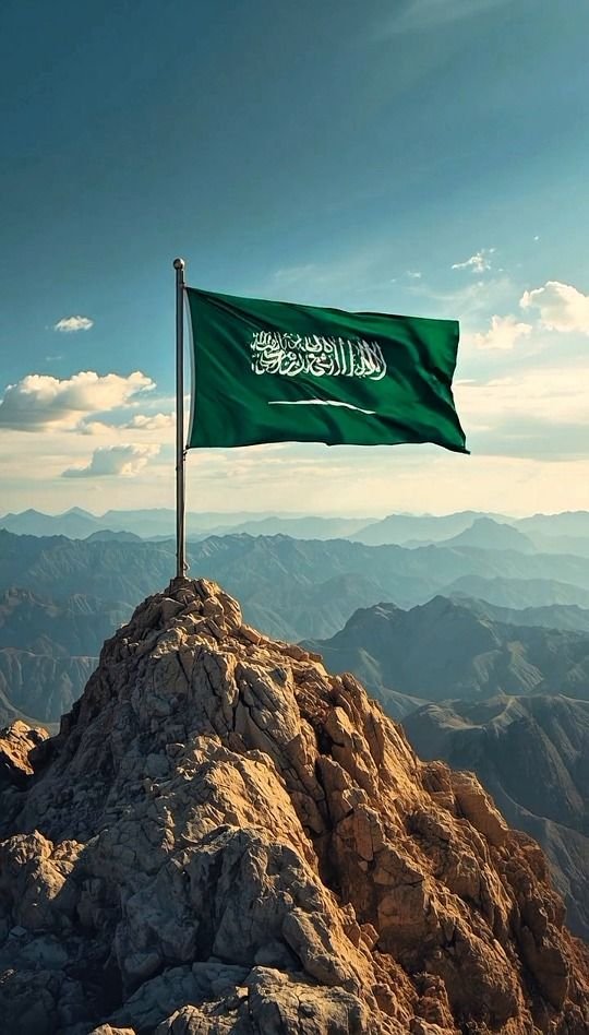 Whale View Chart tweet media