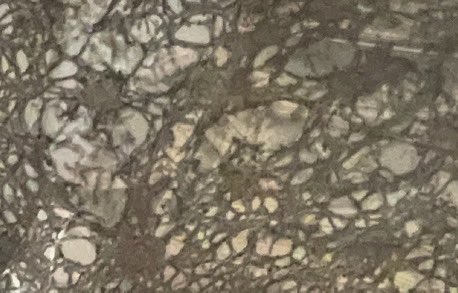 Jessica Vass tweet media