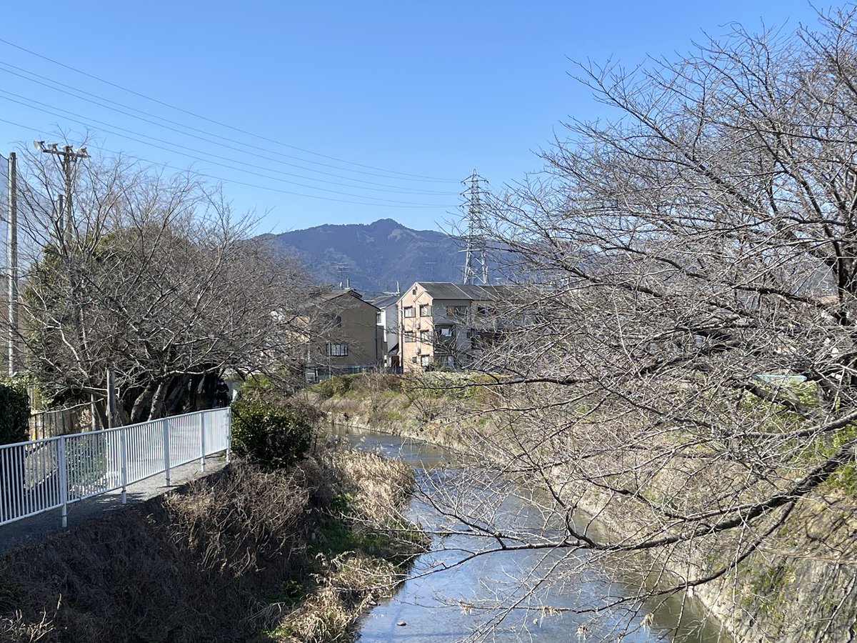 華聖(Kasei) tweet media