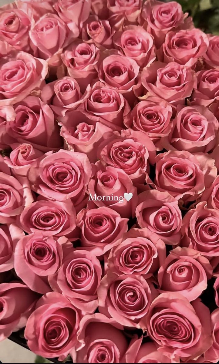 Günaydınlar🌺
Hayırlı Sabahlar.
Herkese iyi haftalar hayırlı işler bol bereketli günler dilerim.

#pazartesi 
#KadirGecemizMübarekOlsun