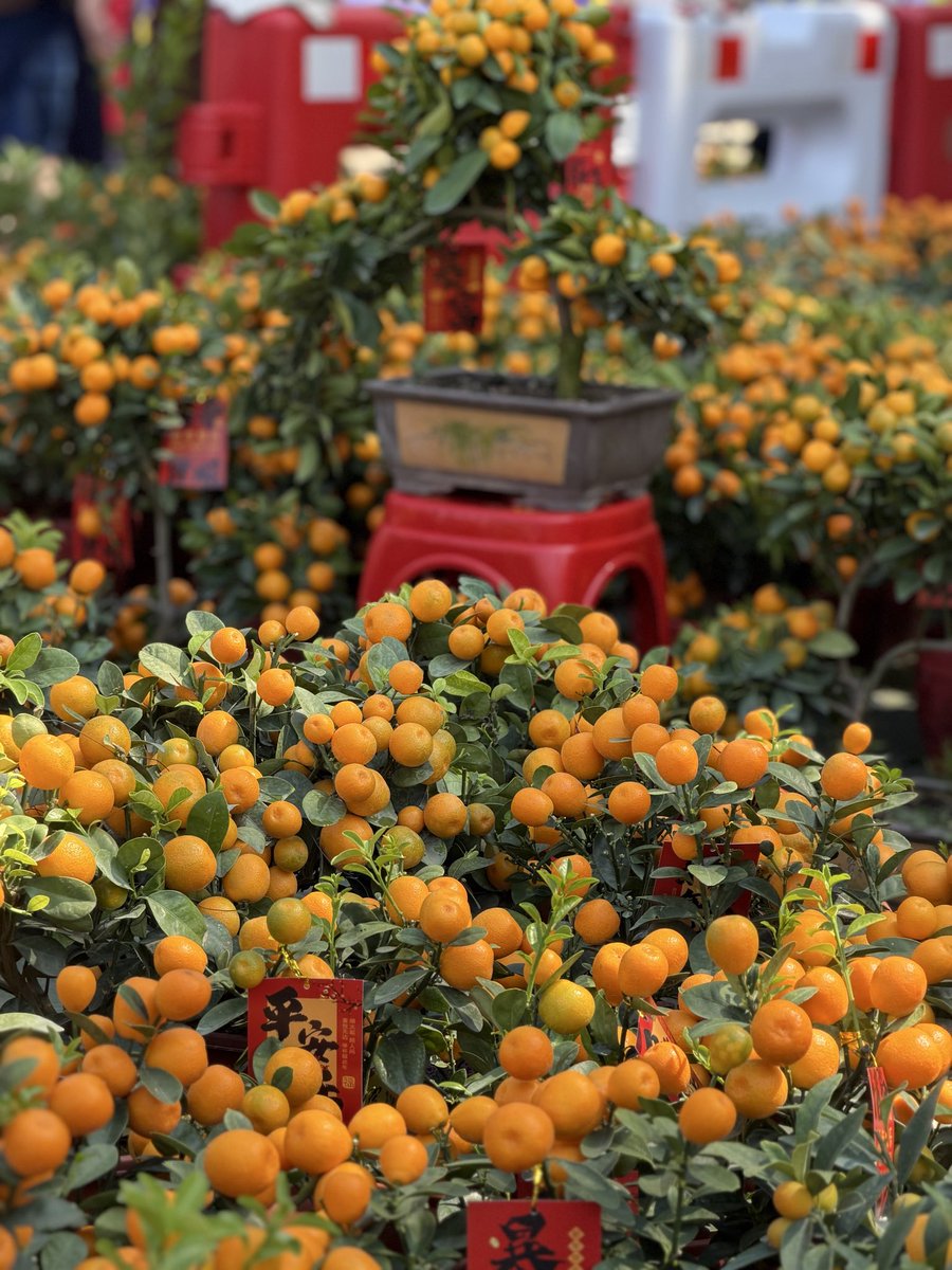 Shikha Sawhney tweet media