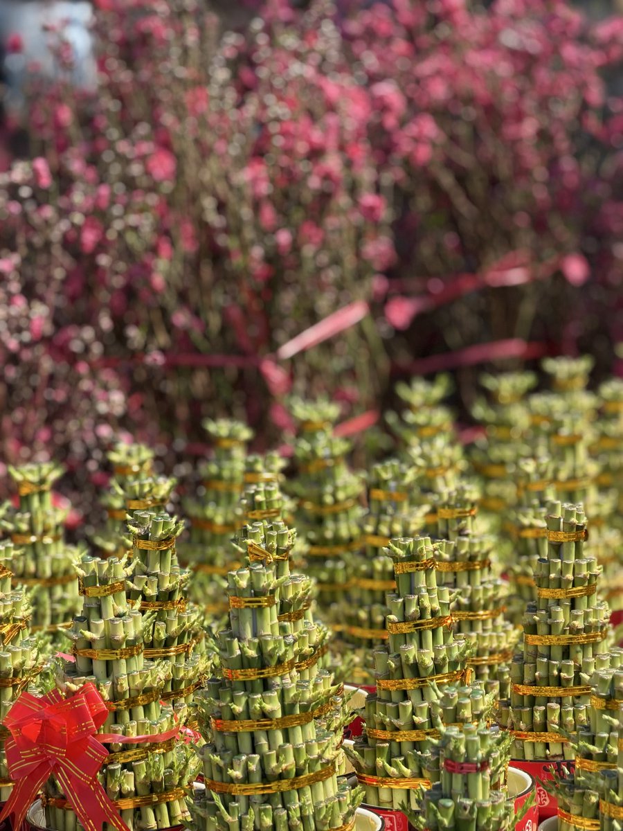 Shikha Sawhney tweet media