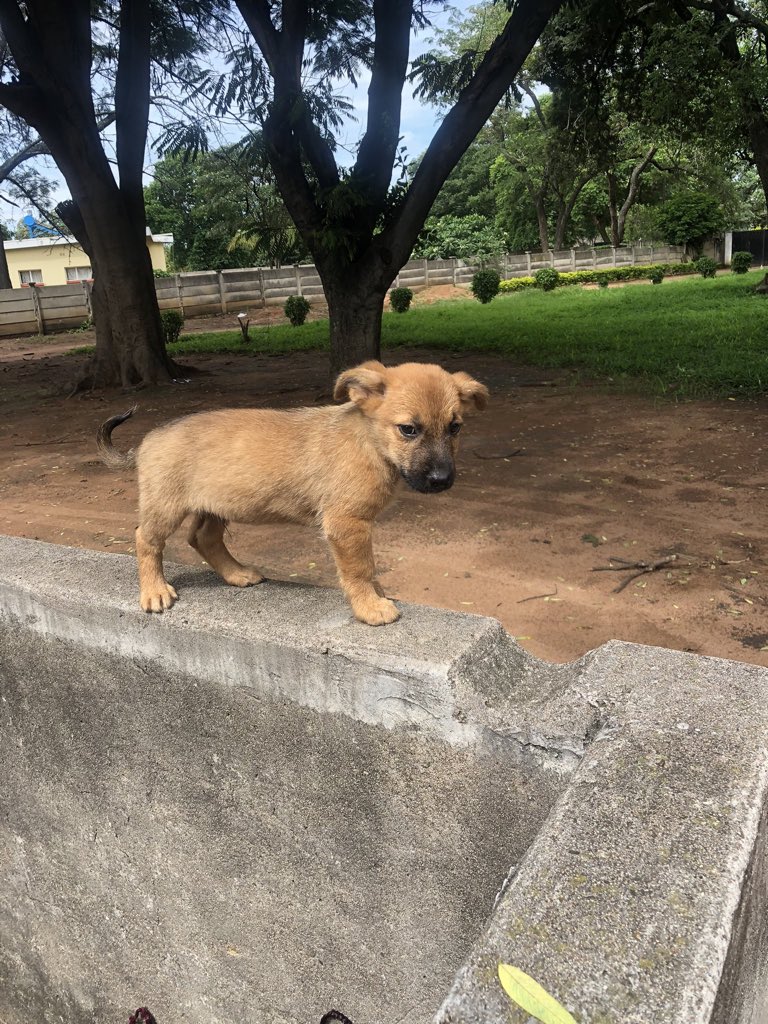 J E T H R O 🇿🇼 tweet media