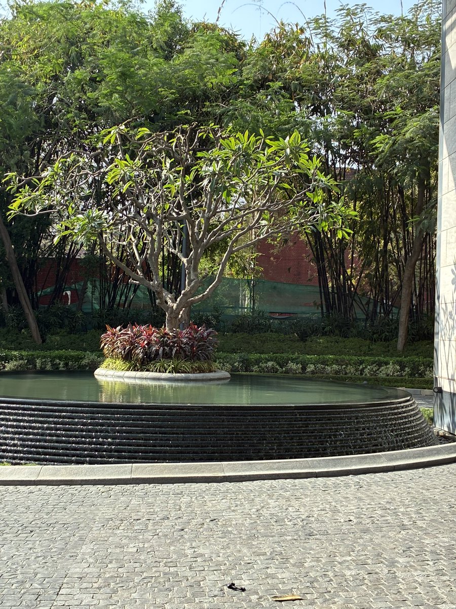 roobina mongia tweet media