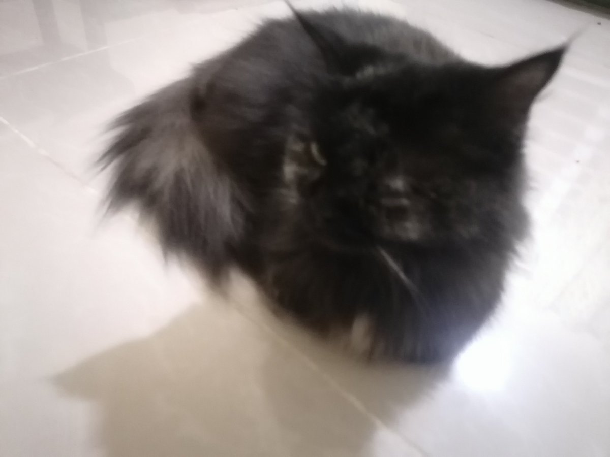 V Blocky tweet media