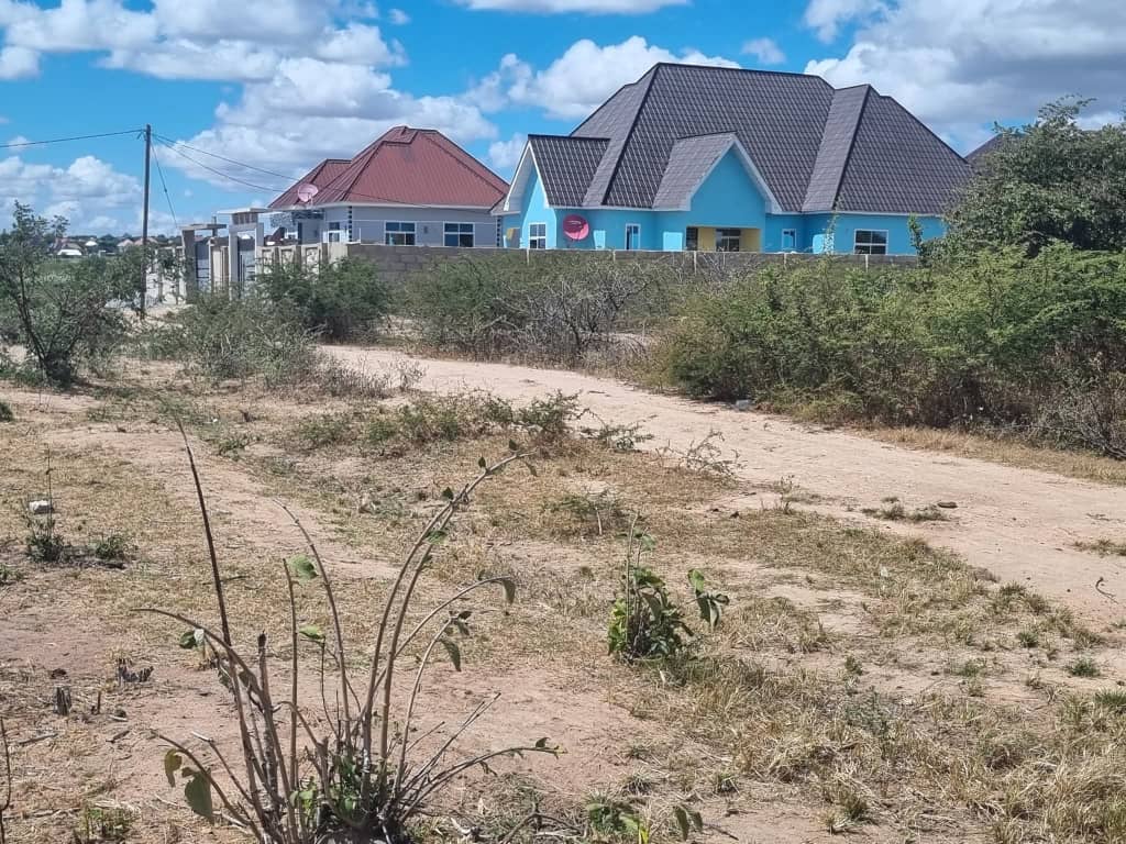 wekeza Dodoma tweet media