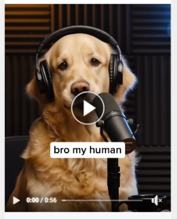 Adam Taylor tweet media