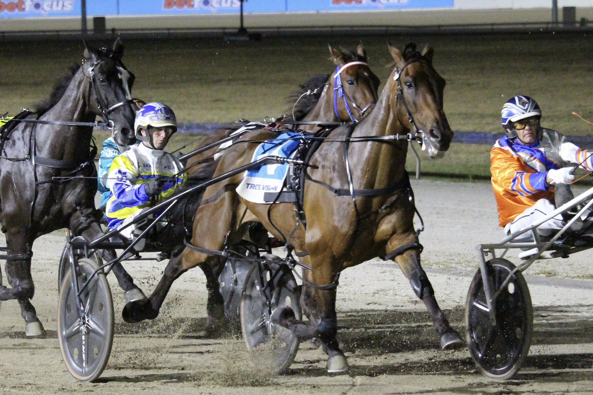 The Trots tweet media