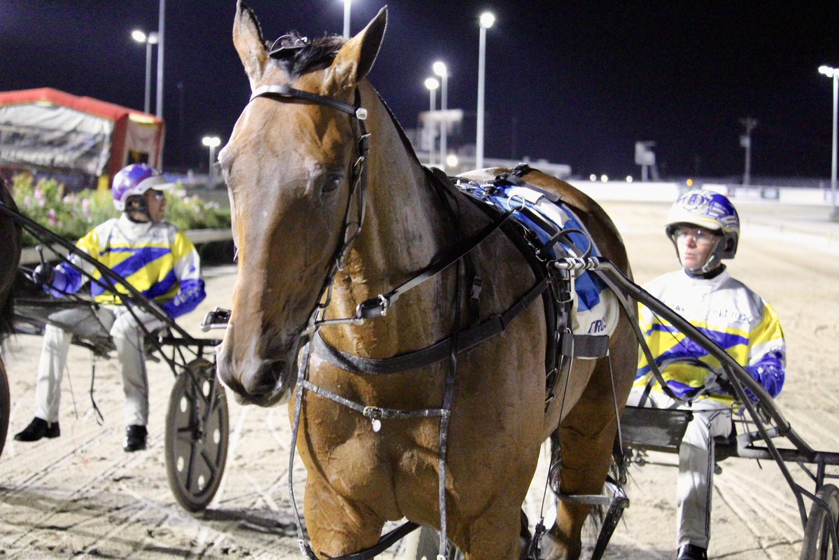 The Trots tweet media