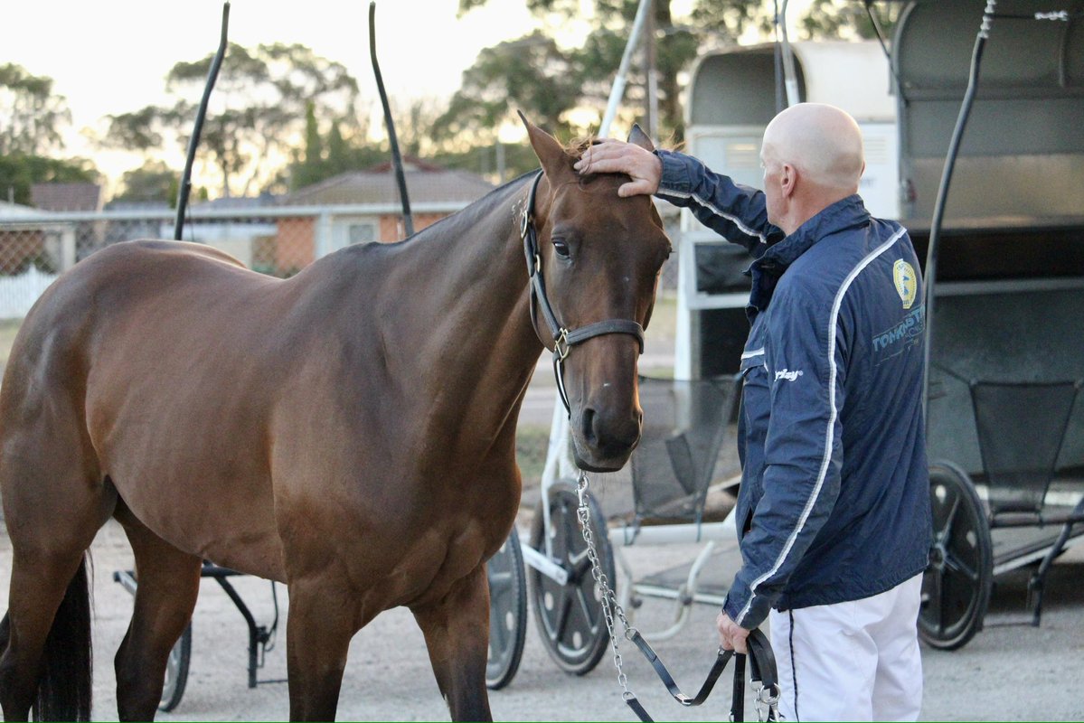 The Trots tweet media